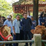 Jelang Iduladha, Hewan Kurban Sleman Aman dan Stok Terpantau