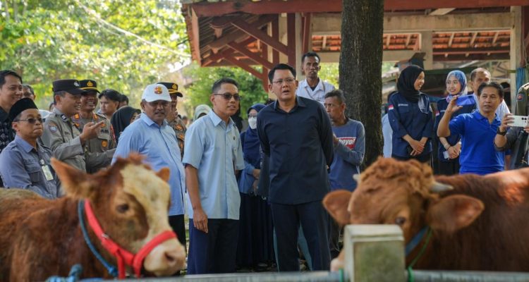Jelang Iduladha, Hewan Kurban Sleman Aman dan Stok Terpantau