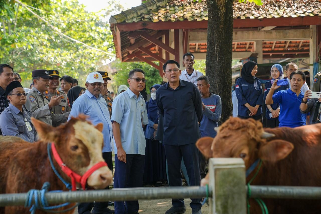 Jelang Iduladha, Hewan Kurban Sleman Aman dan Stok Terpantau